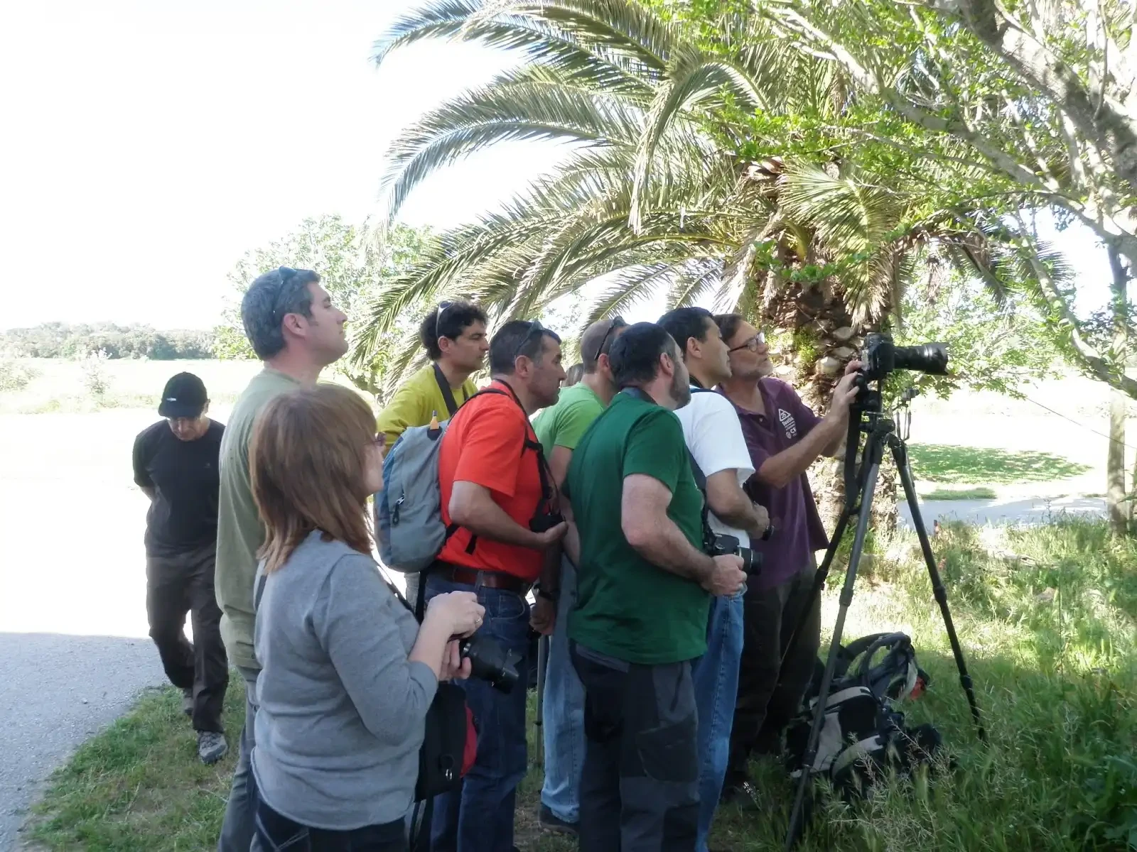 Curset d'iniciació a la fotografia digital de natura 2012