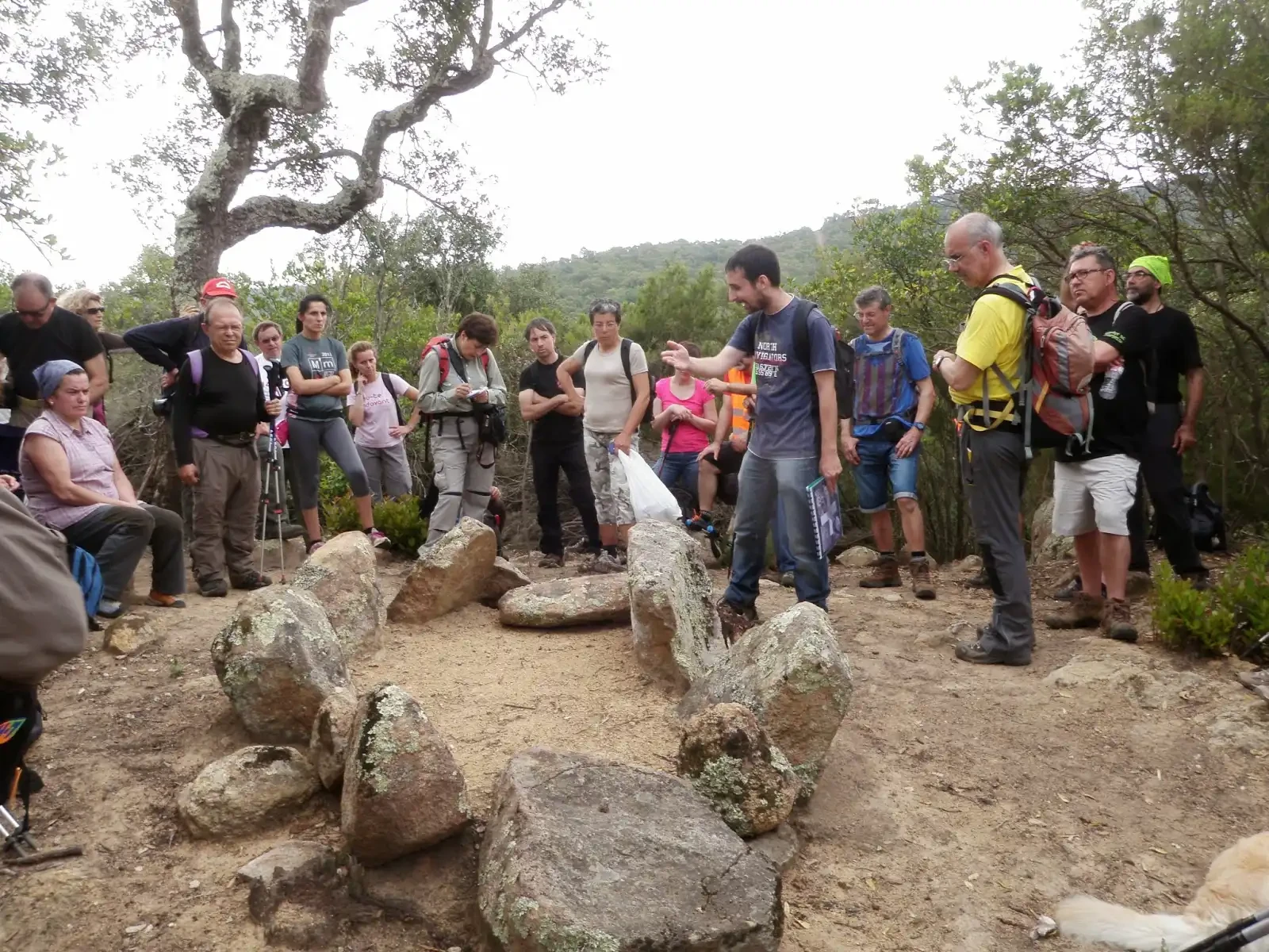 15è Itinerari megalític a les Gavarres i l'Ardenya 2014