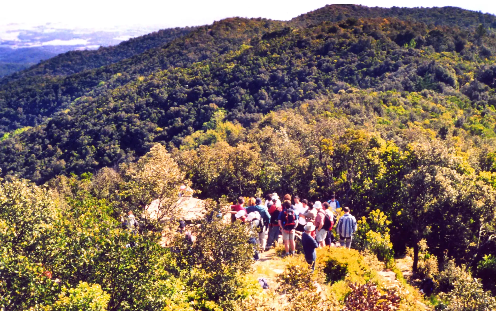 5è Itinerari megalític a les Gavarres 2004