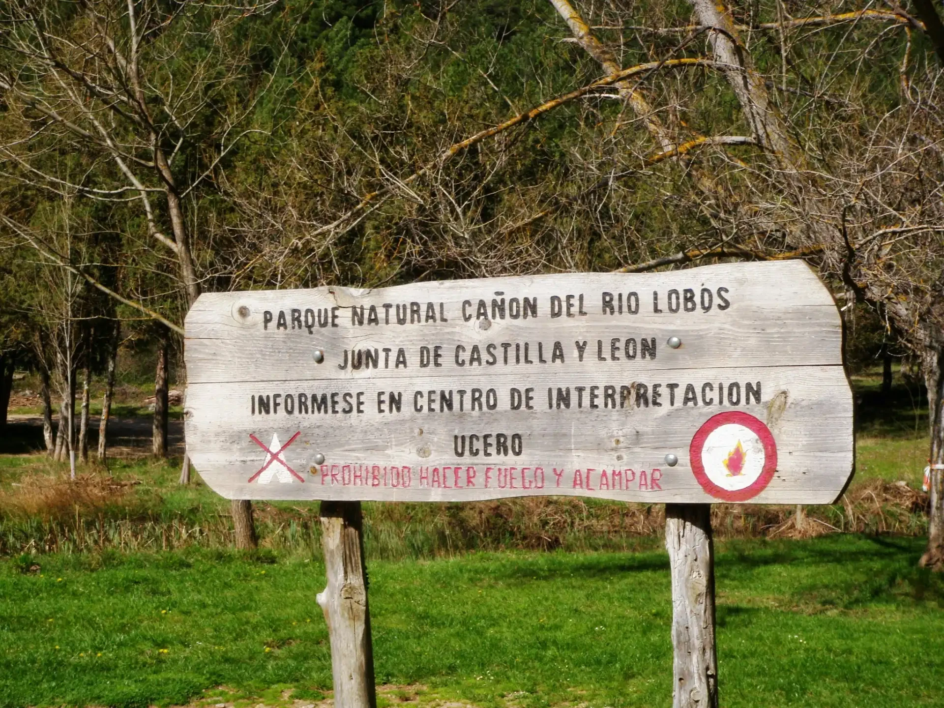 Les altes terres de Soria i Burgos 2014